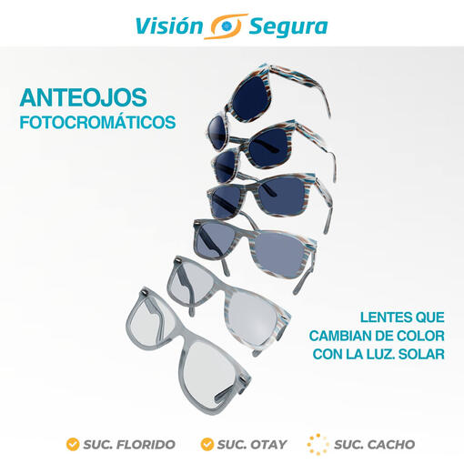 Visión Segura