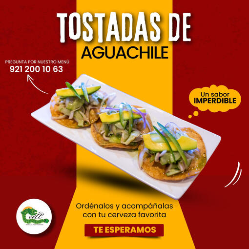 Coatl Terraza